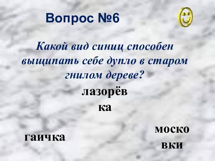 Вопрос №6 гаичка лазорёвка московки Какой вид синиц способен выщипать себе дупло в старом гнилом дереве?