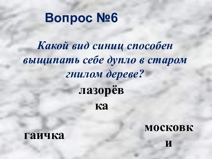 Вопрос №6 гаичка лазорёвка московки Какой вид синиц способен выщипать себе дупло в старом гнилом дереве?