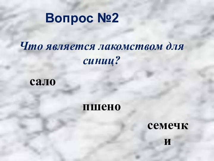 Вопрос №2 сало пшено семечки Что является лакомством для синиц?