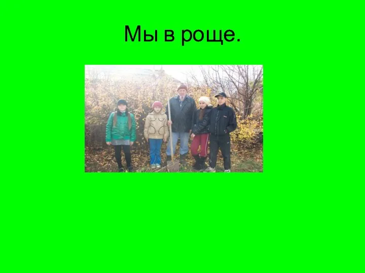 Мы в роще.