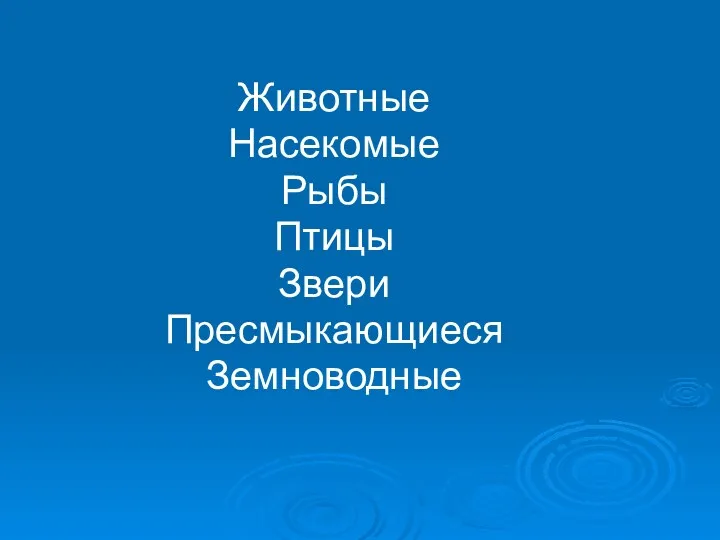 Животные Насекомые Рыбы Птицы Звери Пресмыкающиеся Земноводные