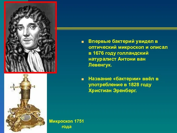 Впервые бактерий увидел в оптический микроскоп и описал в 1676 году голландский натуралист