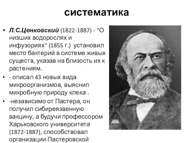 систематика Л.С.Ценковский (1822-1887) - "О низших водорослях и инфузориях" (1855