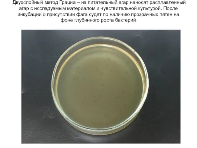 Двухслойный метод Грациа – на питательный агар наносят расплавленный агар