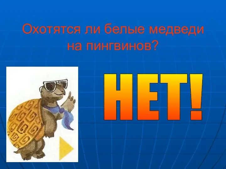 Охотятся ли белые медведи на пингвинов? НЕТ!