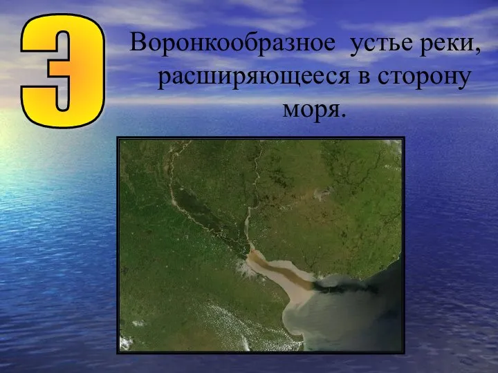 Воронкообразное устье реки, расширяющееся в сторону моря. Э