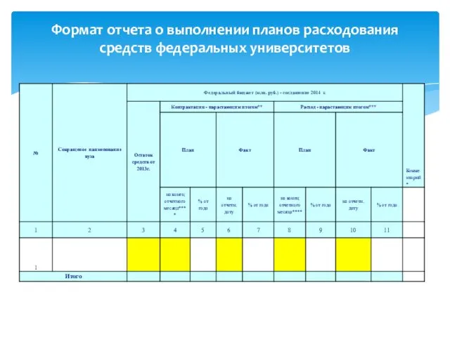 Формат отчета о выполнении планов расходования средств федеральных университетов