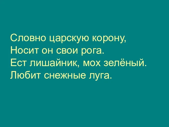 Словно царскую корону, Носит он свои рога. Ест лишайник, мох зелёный. Любит снежные луга.