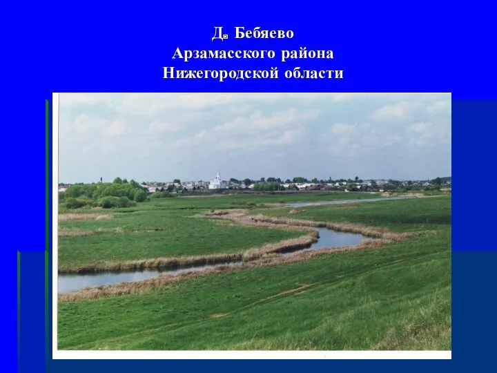 Д. Бебяево Арзамасского района Нижегородской области