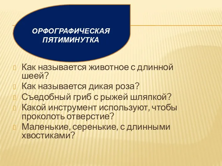 Как называется животное с длинной шеей? Как называется дикая роза?