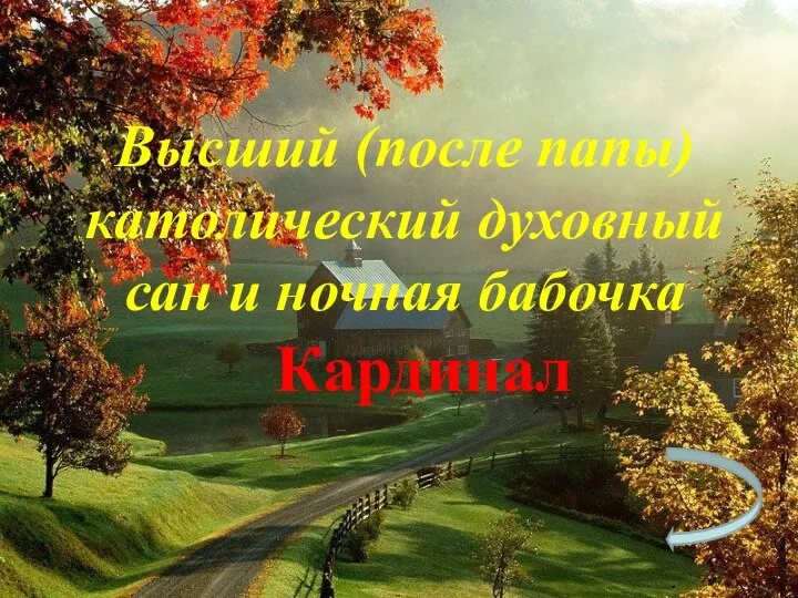 Высший (после папы) католический духовный сан и ночная бабочка Кардинал