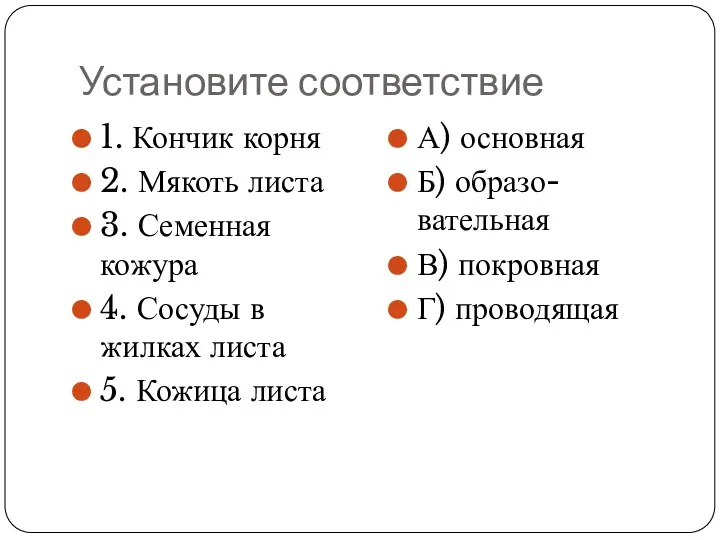 Установите соответствие 1. Кончик корня 2. Мякоть листа 3. Семенная