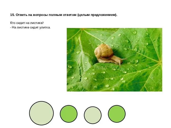 15. Ответь на вопросы полным ответом (целым предложением). Кто сидит