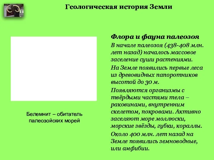 Геологическая история Земли Флора и фауна палеозоя В начале палеозоя