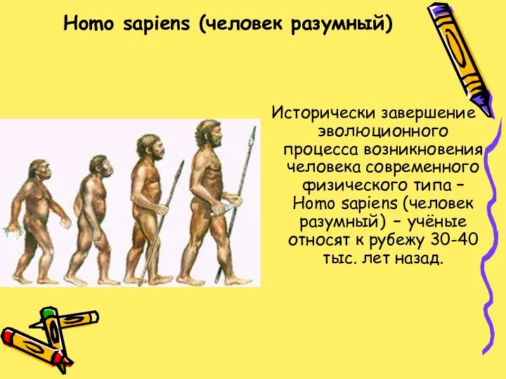 Homo sapiens (человек разумный) Исторически завершение эволюционного процесса возникновения человека