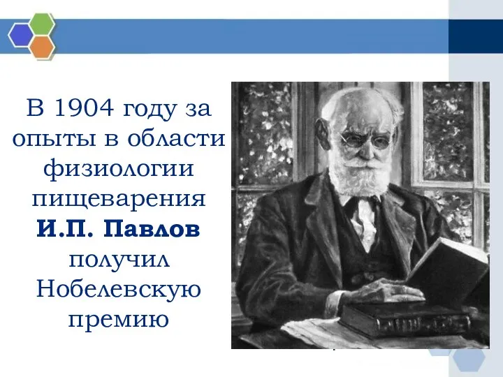 Иван Петрович Павлов В 1904 году за опыты в области физиологии пищеварения И.П.