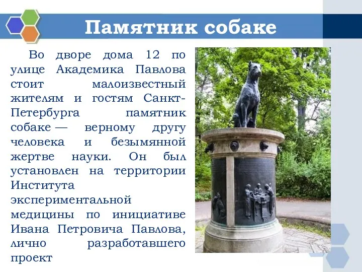 Памятник собаке Во дворе дома 12 по улице Академика Павлова стоит малоизвестный жителям