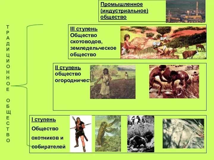 I ступень Общество охотников и собирателей II ступень общество огородничества