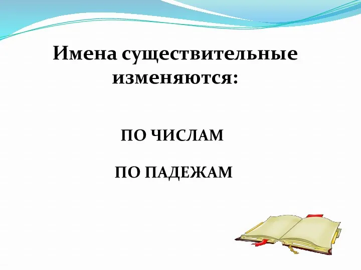 Имена существительные изменяются: ПО ЧИСЛАМ ПО ПАДЕЖАМ