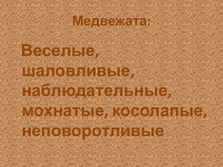 Медвежата: Веселые, шаловливые, наблюдательные, мохнатые, косолапые, неповоротливые