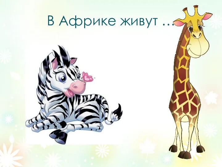 В Африке живут …