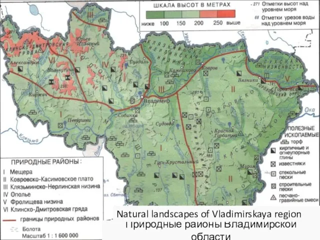 Природные районы Владимирской области Natural landscapes of Vladimirskaya region