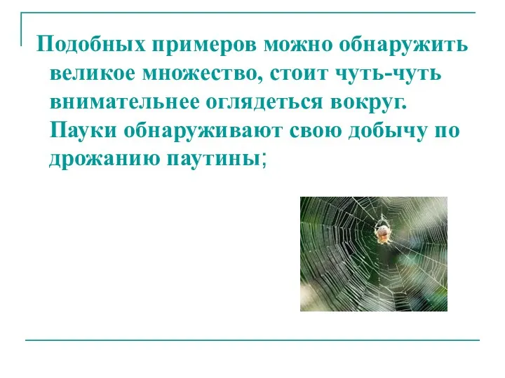 Подобных примеров можно обнаружить великое множество, стоит чуть-чуть внимательнее оглядеться