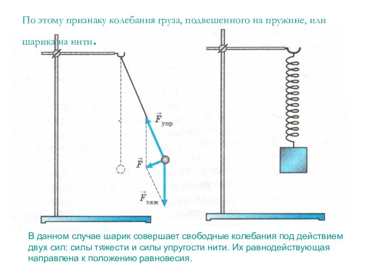 По этому признаку колебания груза, подвешенного на пружине, или шарика