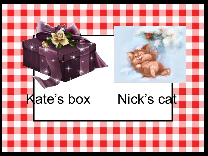 Kate’s box Nick’s cat