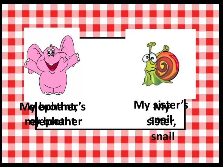elephant, my brother My brother’s elephant My sister, snail My sister’s snail