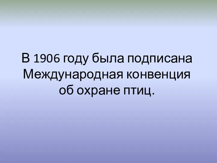 В 1906 году была подписана Международная конвенция об охране птиц.