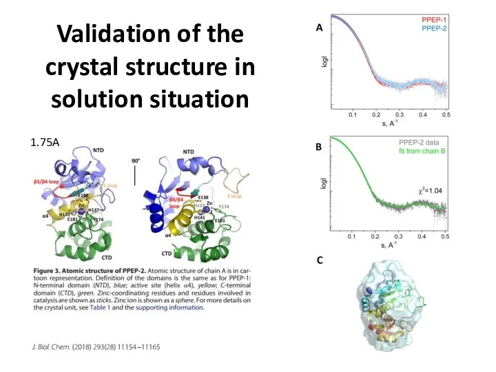 Validation of the crystal structure in solution situation 1.75A