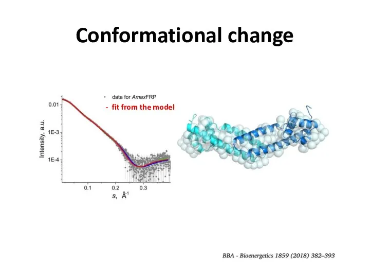 Conformational change