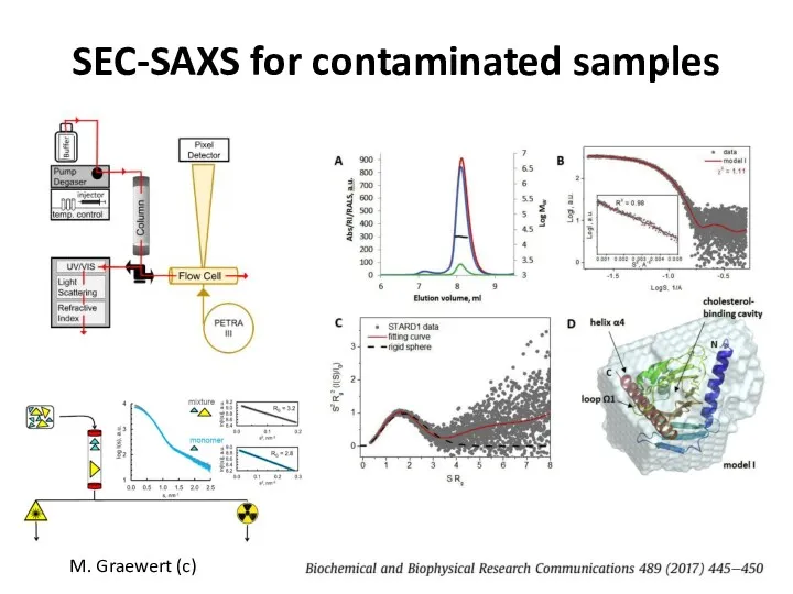SEC-SAXS for contaminated samples M. Graewert (c)