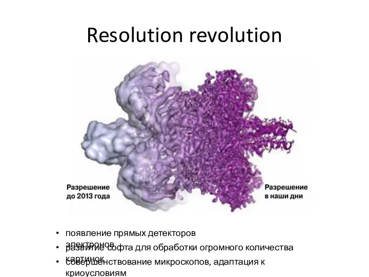 Resolution revolution появление прямых детекторов электронов развитие софта для обработки