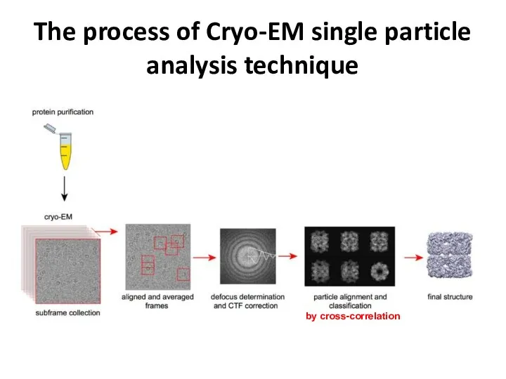 The process of Cryo-EM single particle analysis technique by cross-correlation