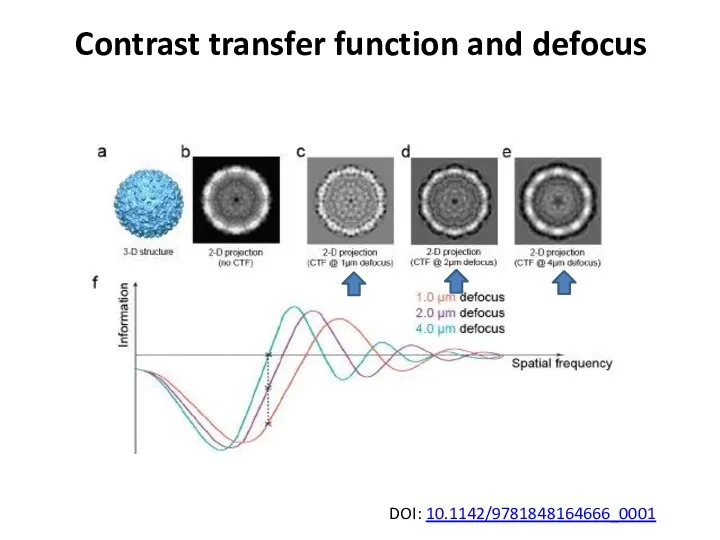 Contrast transfer function and defocus DOI: 10.1142/9781848164666_0001