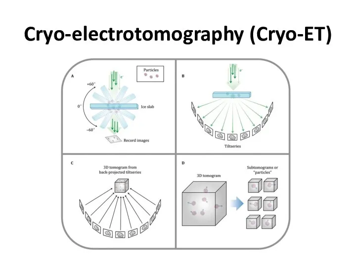 Cryo-electrotomography (Cryo-ET)