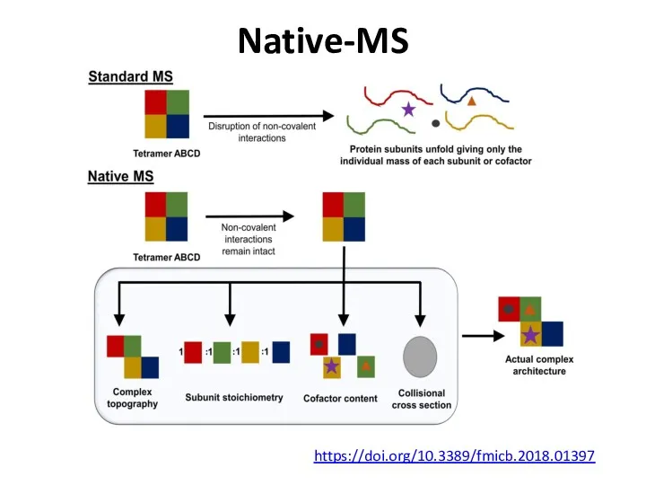 Native-MS https://doi.org/10.3389/fmicb.2018.01397