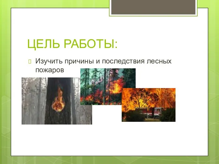 ЦЕЛЬ РАБОТЫ: Изучить причины и последствия лесных пожаров
