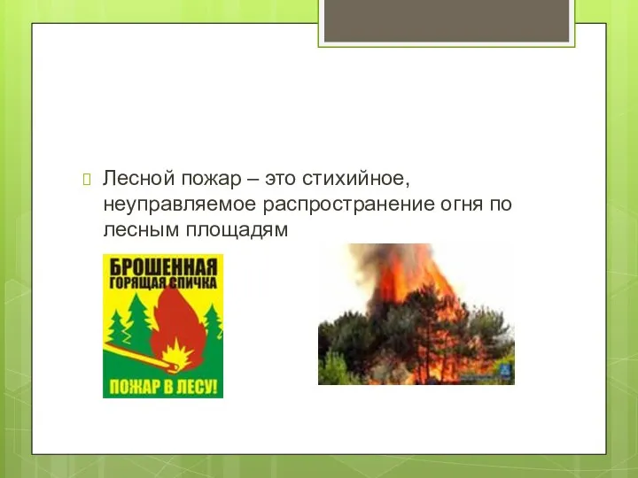 Лесной пожар – это стихийное, неуправляемое распространение огня по лесным площадям