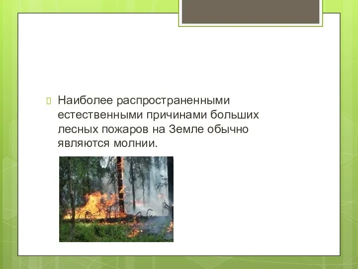 Наиболее распространенными естественными причинами больших лесных пожаров на Земле обычно являются молнии.