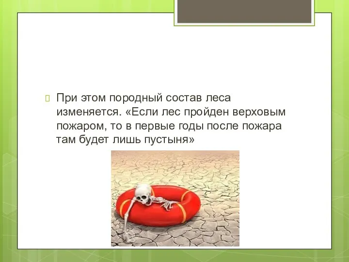 При этом породный состав леса изменяется. «Если лес пройден верховым пожаром, то в