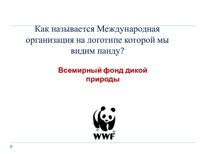 Как называется Международная организация на логотипе которой мы видим панду? Всемирный фонд дикой природы