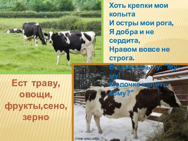 Хоть крепки мои копыта И остры мои рога, Я добра