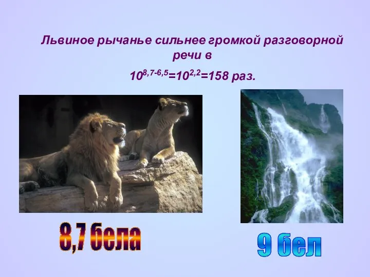 Львиное рычанье сильнее громкой разговорной речи в 108,7-6,5=102,2=158 раз. 8,7 бела 9 бел