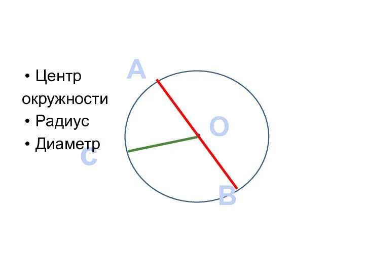 О А В с Центр окружности Радиус Диаметр