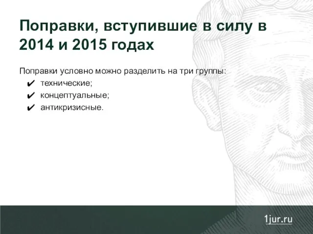 Поправки условно можно разделить на три группы: технические; концептуальные; антикризисные.