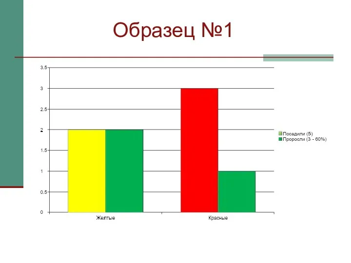 Образец №1