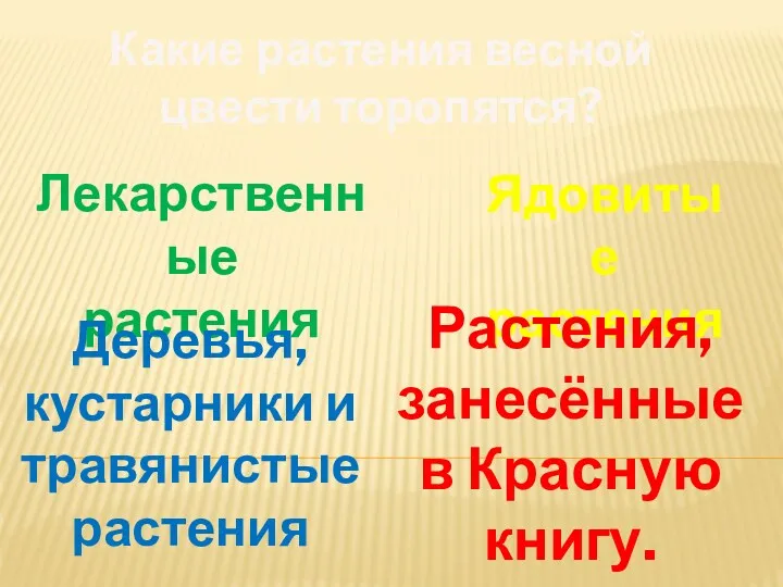 Какие растения весной цвести торопятся? Лекарственные растения Ядовитые растения Деревья, кустарники и травянистые